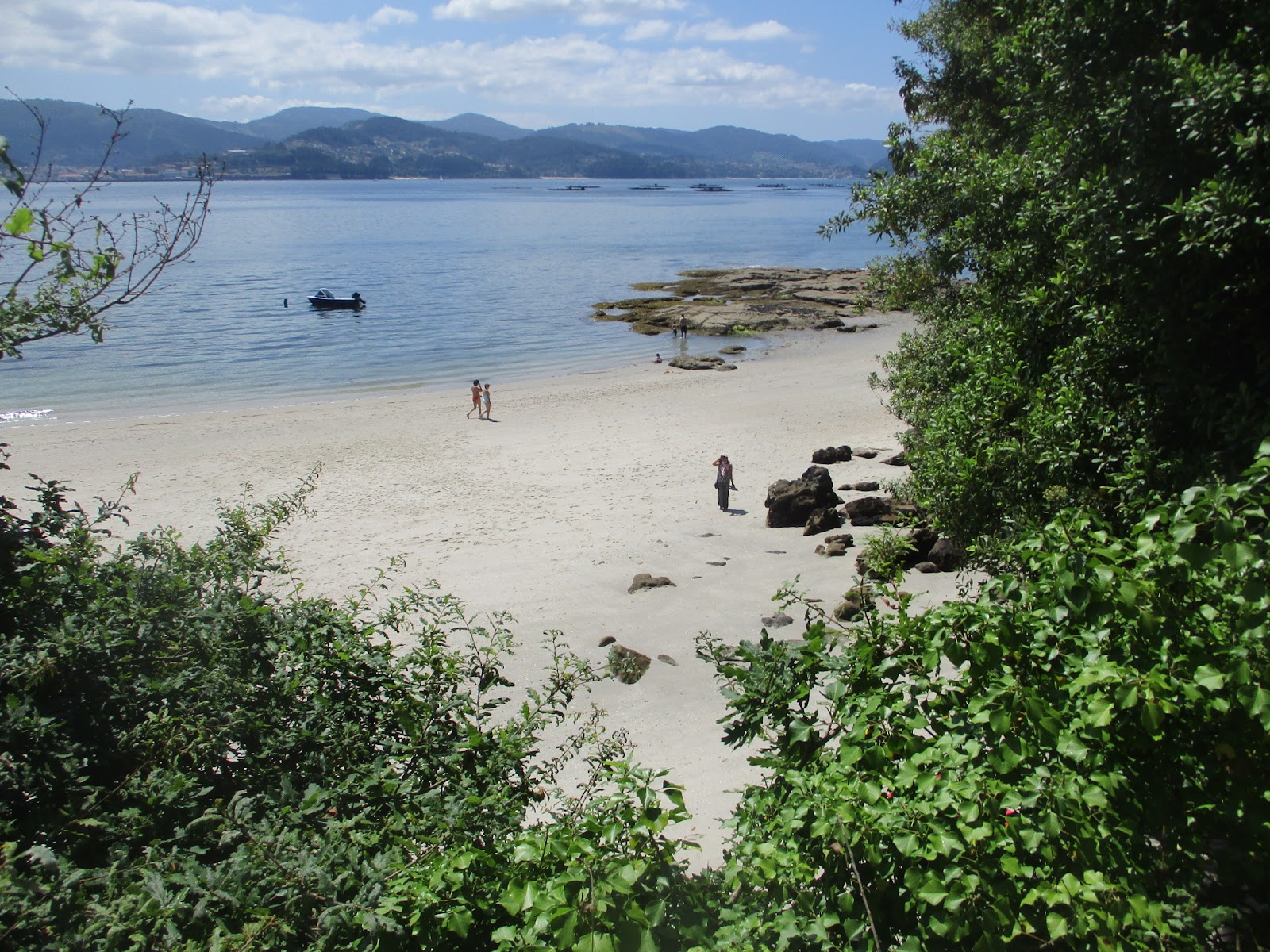 Praia Ouriceira'in fotoğrafı kısmen temiz temizlik seviyesi ile