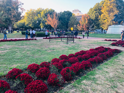 Park «Lafayette Square», reviews and photos, Pennsylvania Ave NW & 16th Street Northwest, Washington, DC 20001, USA