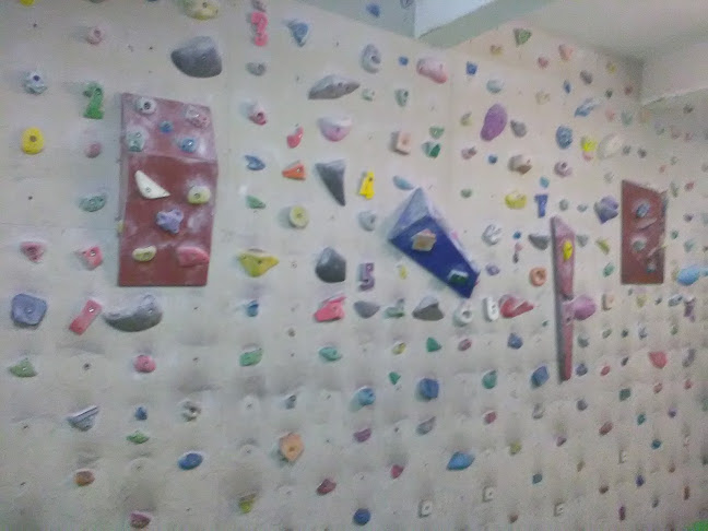 Opinii despre Gecko Climb în <nil> - Sala de Fitness