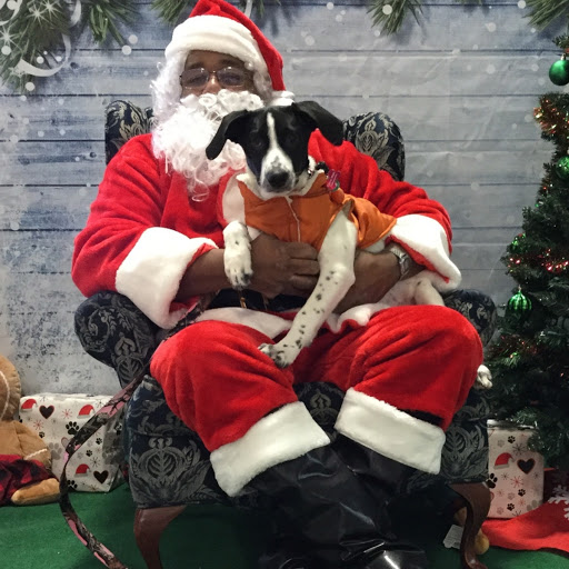 Pet Supply Store «Petco Animal Supplies», reviews and photos, 438 Southbridge St, Auburn, MA 01501, USA