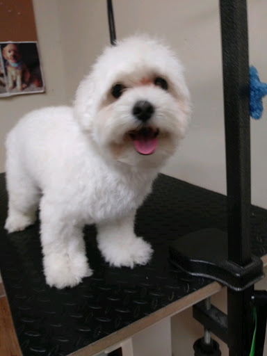 Pet Supply Store «EarthWise Pet Supply - Richardson», reviews and photos, 1310 W Campbell Rd #128, Richardson, TX 75080, USA