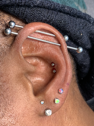 Explore dolphin tattoo ideas, creative tattoo ideas in Bakersfield, available at Bakersfield Tattoo & Piercing