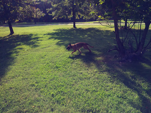 Park «Fort Circle Park», reviews and photos, Minnesota Ave SE, Washington, DC 20019, USA