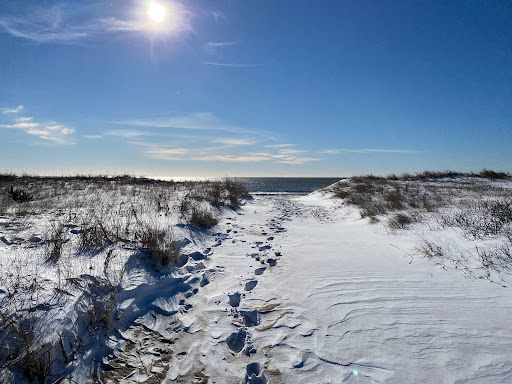 Golf Club «Maidstone Club», reviews and photos, 29 Maidstone Ln, East Hampton, NY 11937, USA