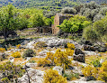 GIUSTINIANI village abandonné Speloncato