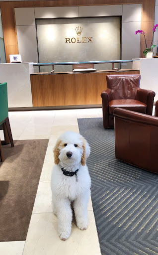 Jewelry Store «T-Bird Jewels Jewelry Store», reviews and photos, 1990 Village Center Cir, Las Vegas, NV 89134, USA