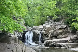 Scott’s Run Nature Preserve image