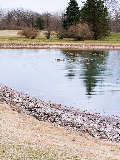 Golf Club «Bedford Hills Golf Club», reviews and photos, 6400 Jackman Rd, Temperance, MI 48182, USA