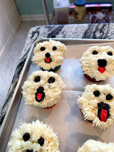 Hostel «Blue Goose Bike Hostel», reviews and photos, 128 E Main St, Irwinton, GA 31042, USA