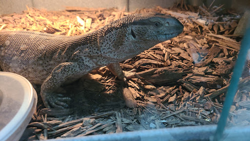 Pet Store «Incredible Pets Inc», reviews and photos, 2255 N Wickham Rd # 102, Melbourne, FL 32935, USA