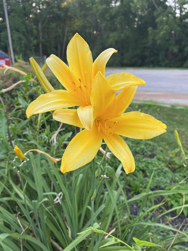 Museum «Museum of the City of New York», reviews and photos, 1220 5th Ave & 103rd St, New York, NY 10029, USA