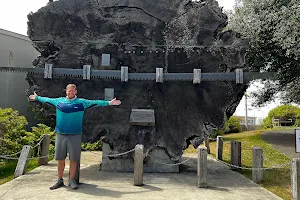 Historic Redwood (a section of the largest known Redwood tree from Mendocino County ) image