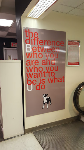 Book Store «Barnes & Noble», reviews and photos, 660 Beacon St, Boston, MA 02215, USA