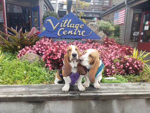 Pet Supply Store «Puppy Love By the Sea», reviews and photos, 271 N Hemlock St, Cannon Beach, OR 97110, USA