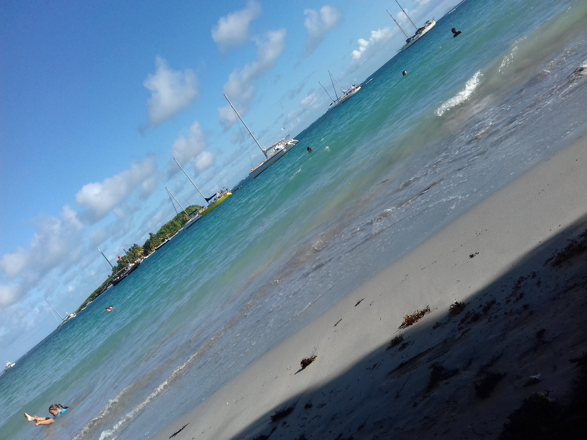 Photo n° 2 de l'avis de Michèle.s fait le 04/02/2020 à 21:24