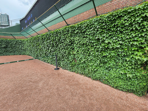 Stadium «Wrigley Field», reviews and photos, 1060 W Addison St, Chicago, IL 60613, USA