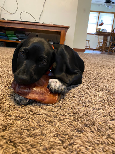 Pet Supply Store «Farmers Feed & Pet Supply», reviews and photos, 616 N Cedar Ave, Owatonna, MN 55060, USA