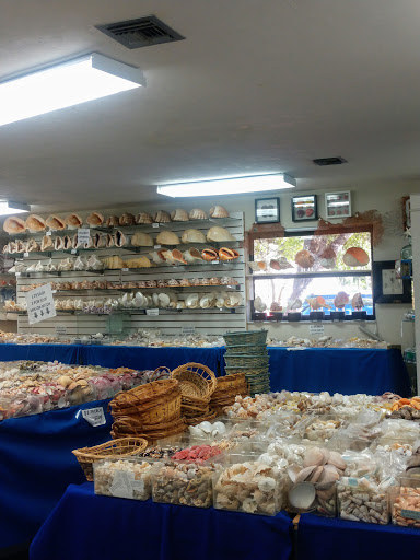 Gift Shop «Sanibel Seashell Industries», reviews and photos, 1544 Periwinkle Way, Sanibel, FL 33957, USA