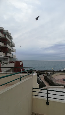 Lumbroso Madeleine à Sète