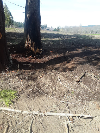 Casino «7 Cedars Casino», reviews and photos, 270756 US-101, Sequim, WA 98382, USA