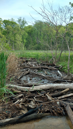 Park «Purse State Park», reviews and photos, 2750 Sweden Point Road, Marbury, MD 20658, USA