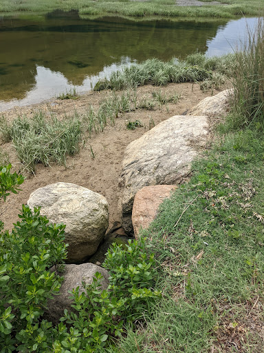 Shopping Mall «Stony Brook Village Center», reviews and photos, 111 Main St, Stony Brook, NY 11790, USA