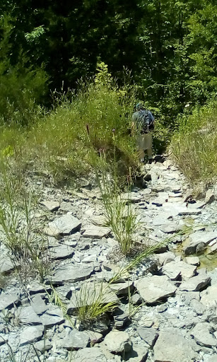 Tourist Attraction «Caesar Creek Visitor Center», reviews and photos, 4020 N Clarksville Rd, Waynesville, OH 45068, USA