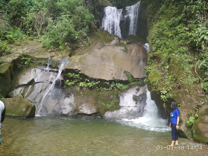 15 Tempat Menarik di Hutan Nasional Indonesia