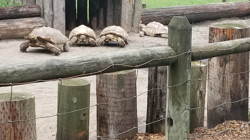 Zoo «Wilderness Trails Zoo», reviews and photos, 11721 Gera Rd, Birch Run, MI 48415, USA