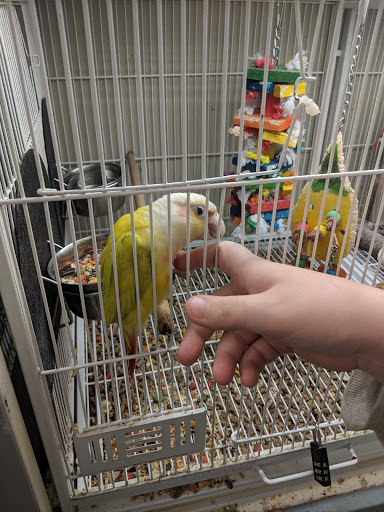 Pet Supply Store «Pet Supplies Plus», reviews and photos, 7954 Brewerton Rd #400, Cicero, NY 13039, USA