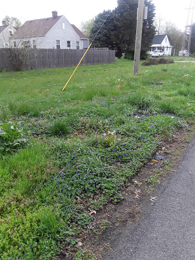 Park «Algonquin Park», reviews and photos, 1614 Cypress St, Louisville, KY 40210, USA