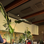 Photo n°1 de l'avis de Gesualda.e fait le 08/01/2024 à 18:32 sur le  Brut Merate à Merate