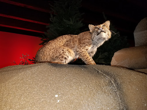 History Museum «The Frazier History Museum», reviews and photos, 829 W Main St, Louisville, KY 40202, USA