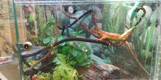 Pet Supply Store «Petco Animal Supplies», reviews and photos, 31419 Pacific Hwy S, Federal Way, WA 98003, USA