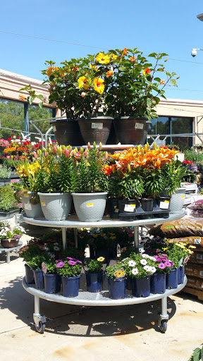 Home Improvement Store «Grange Co-op», reviews and photos, 1262 Stabler Ln, Yuba City, CA 95993, USA