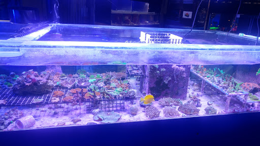 Pet Store «Aquarium & Reef Center», reviews and photos, 231 Del Prado Blvd, Cape Coral, FL 33990, USA