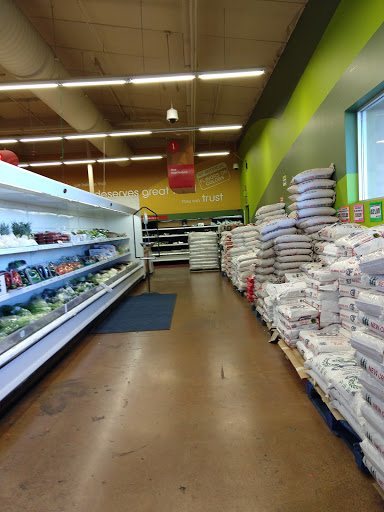 Grocery Store «GS Supermarket», reviews and photos, 5127 W Glendale Ave, Glendale, AZ 85301, USA