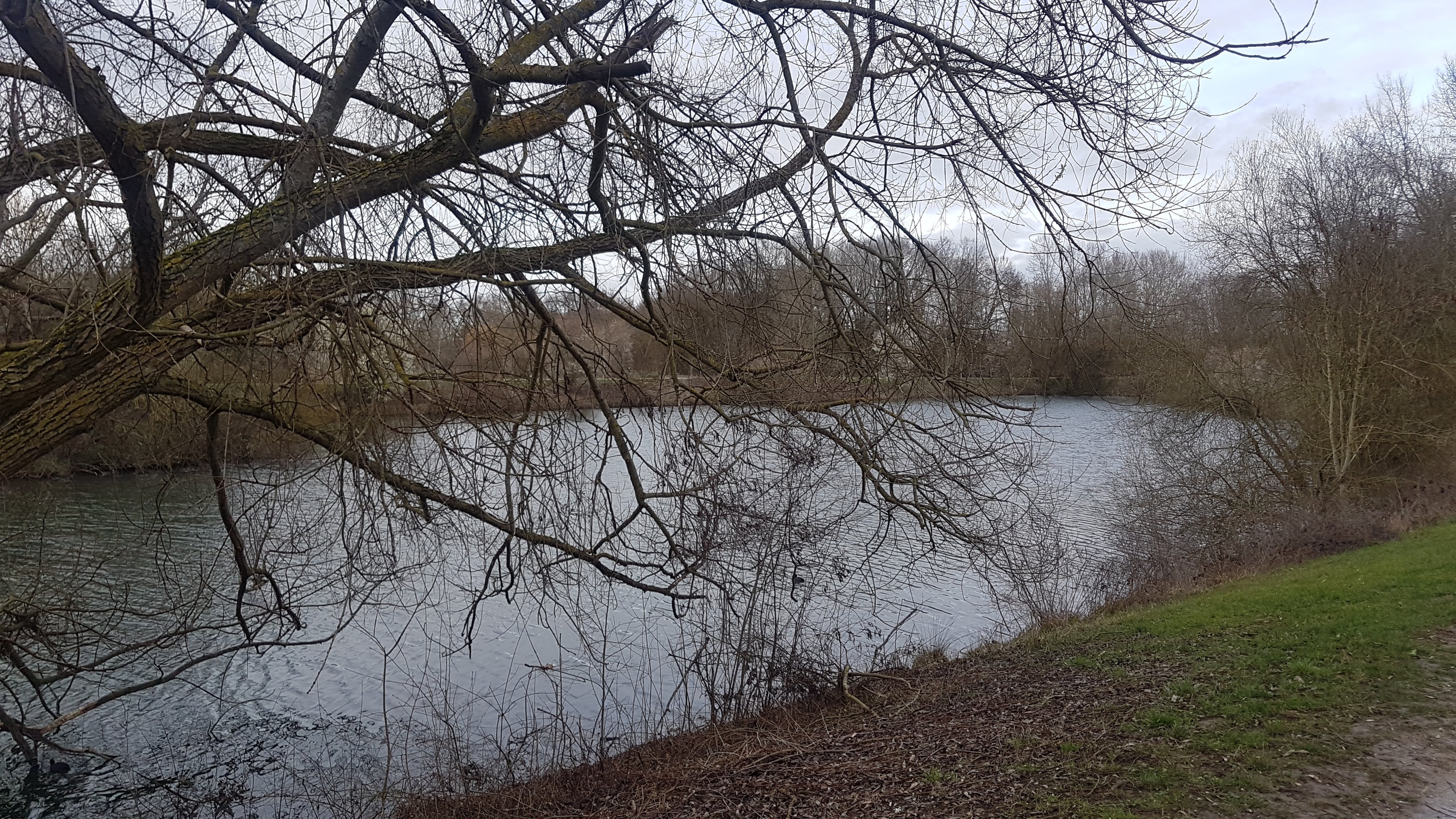 Photo n° 30 de l'avis de Jean-marie.o fait le 06/03/2019 à 12:51