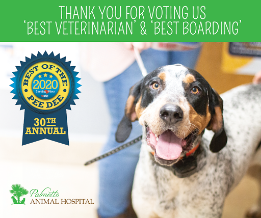 Palmetto Animal Hospital image