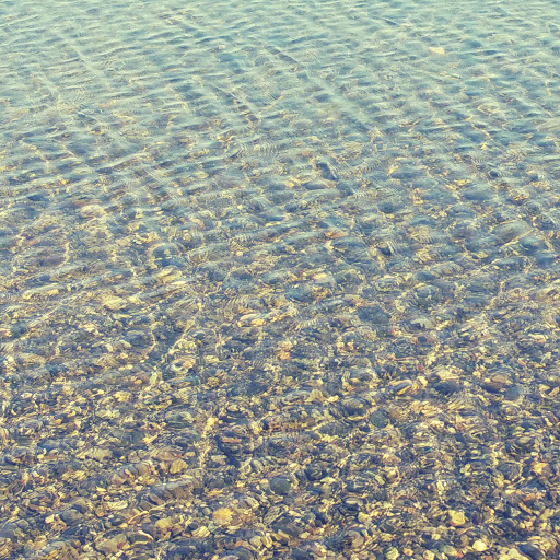 Park «Ferguson Park», reviews and photos, 1330 Ferguson Park Rd, Snohomish, WA 98290, USA