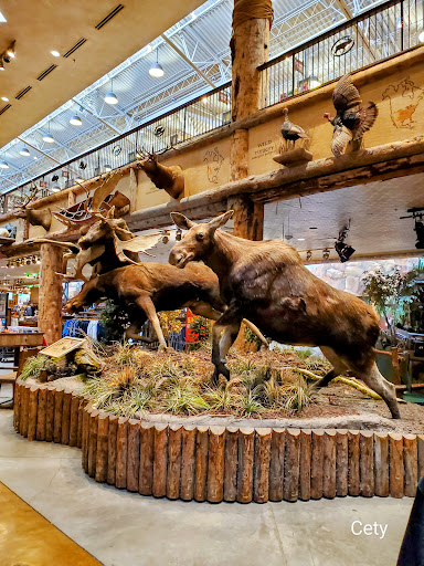Sporting Goods Store «Bass Pro Shops», reviews and photos, 8200 Dean Martin Dr, Las Vegas, NV 89139, USA