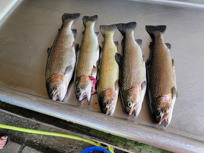 Fort Valley Trout Farm