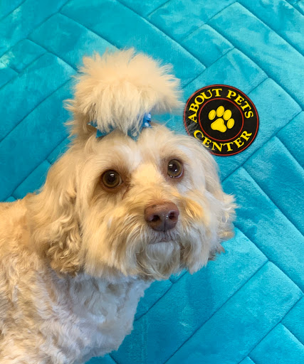 Pet Boarding Service «About Pets Center», reviews and photos, 1604 Conehurst Blvd, Salem, VA 24153, USA