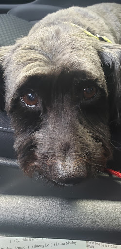 Pet Supply Store «PetSmart», reviews and photos, 1700 Norman Dr #200, Valdosta, GA 31601, USA