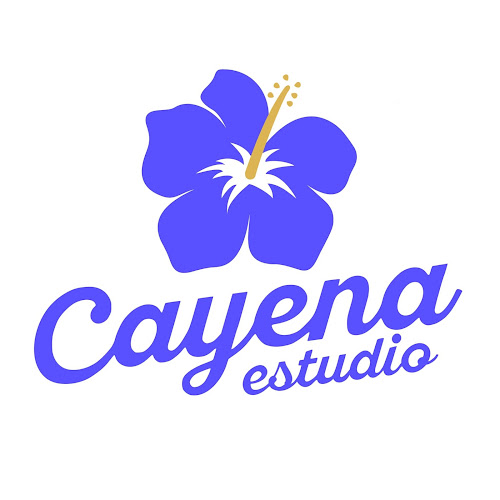 cayenaestudio.cl