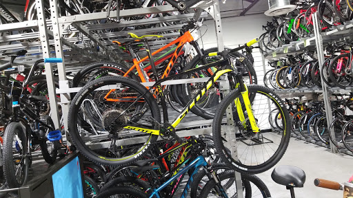 Bicycle Store «Big Wheel Bicycles USA, Inc», reviews and photos, 7035 Taft St, Hollywood, FL 33024, USA