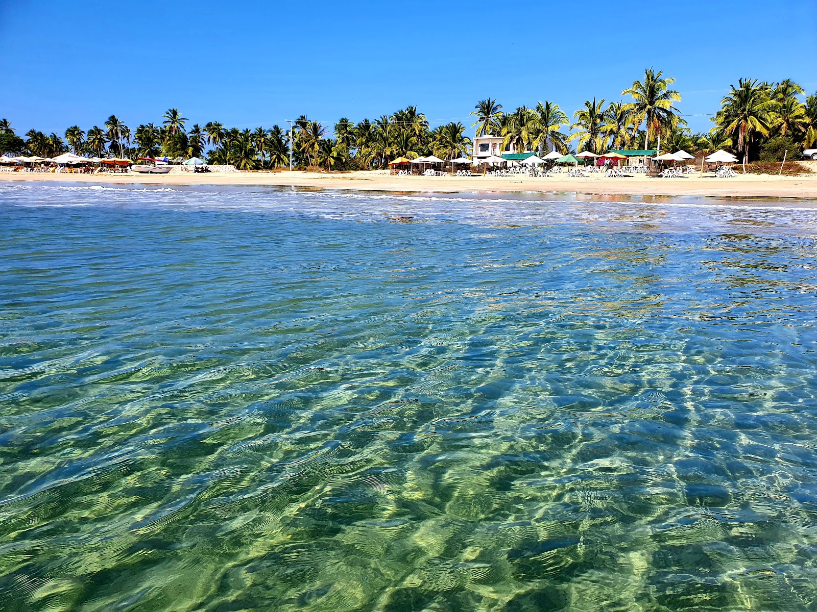 Morita beach'in fotoğrafı #44 ile birlikte