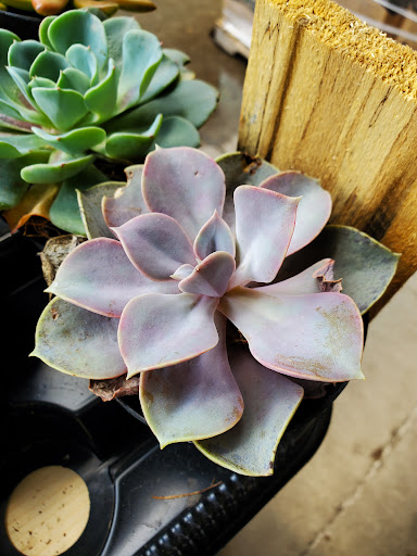 Home Improvement Store «The Home Depot», reviews and photos, 1300-1320 Corporate Dr, Westbury, NY 11590, USA