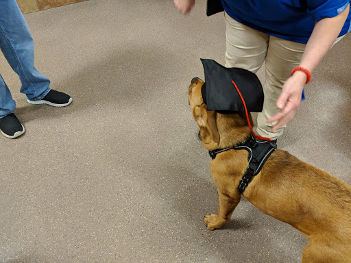 Pet Supply Store «PetSmart», reviews and photos, 2534 South Rd, Poughkeepsie, NY 12601, USA