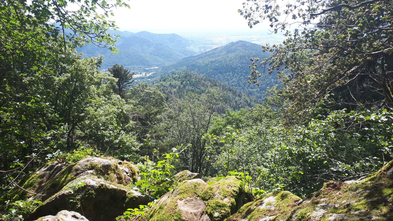 Photo n° 2 de l'avis de Claude.o fait le 07/07/2020 à 17:00